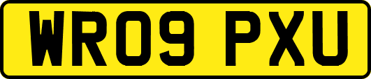 WR09PXU