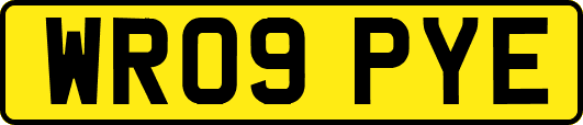 WR09PYE