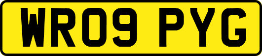 WR09PYG