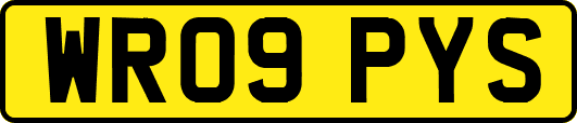 WR09PYS