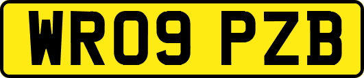 WR09PZB