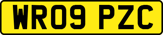 WR09PZC