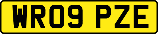 WR09PZE