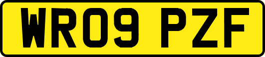 WR09PZF