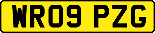 WR09PZG