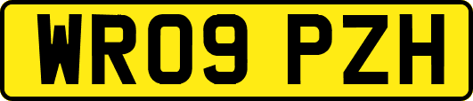 WR09PZH