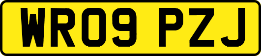 WR09PZJ