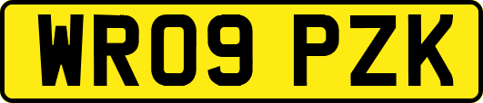 WR09PZK