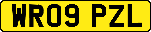 WR09PZL