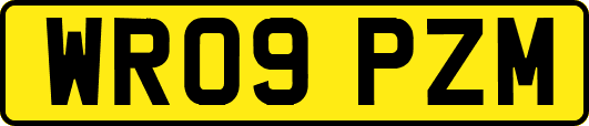 WR09PZM