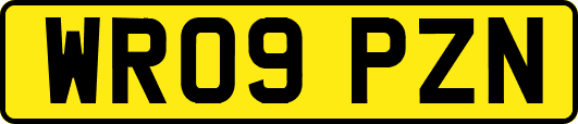 WR09PZN
