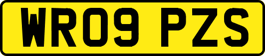WR09PZS