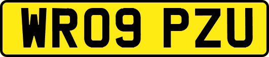 WR09PZU