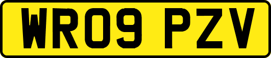 WR09PZV