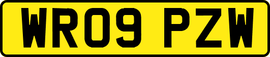 WR09PZW