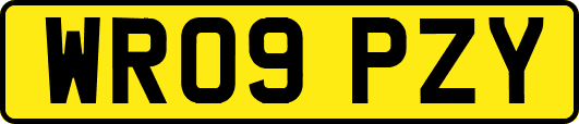 WR09PZY