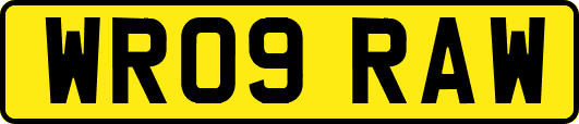 WR09RAW