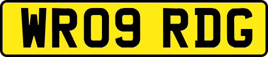 WR09RDG