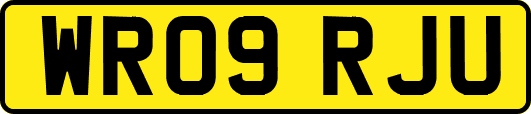 WR09RJU