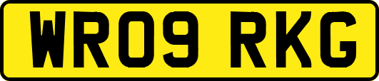WR09RKG