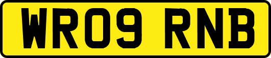 WR09RNB