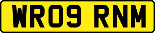 WR09RNM