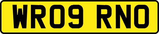 WR09RNO