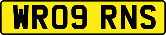 WR09RNS