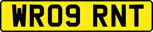 WR09RNT
