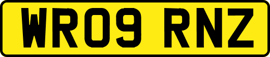 WR09RNZ
