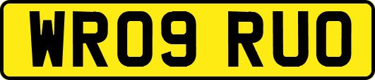 WR09RUO