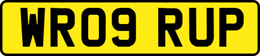 WR09RUP