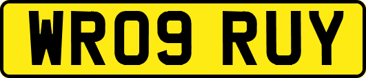 WR09RUY