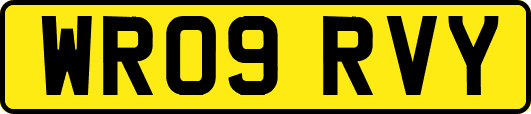 WR09RVY
