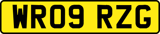WR09RZG