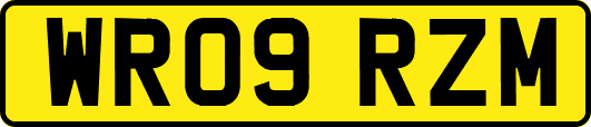 WR09RZM