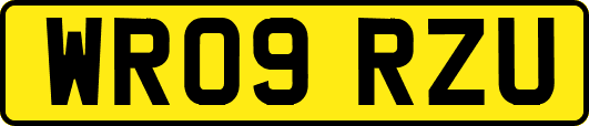 WR09RZU