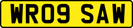 WR09SAW