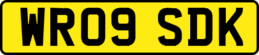 WR09SDK
