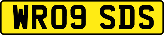 WR09SDS