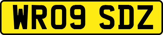 WR09SDZ