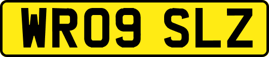 WR09SLZ