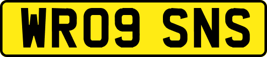 WR09SNS