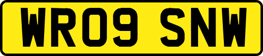 WR09SNW