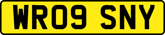 WR09SNY