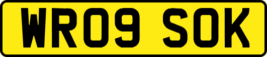 WR09SOK
