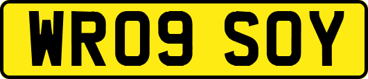 WR09SOY