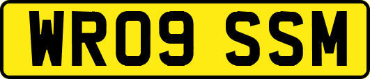 WR09SSM
