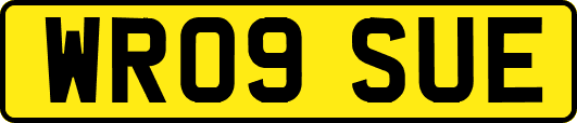 WR09SUE