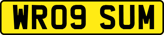 WR09SUM
